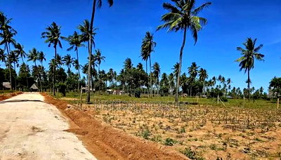 100*100 Plots With Ready Title Deed for Sale in Kilifi - Image 6