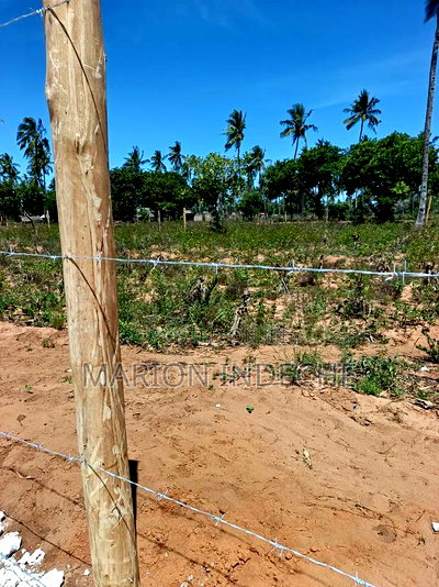 100*100 Plots With Ready Title Deed for Sale in Kilifi - Image 8