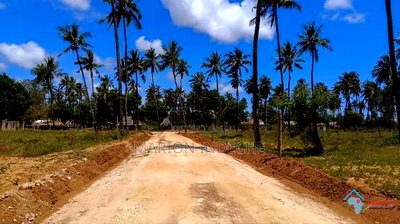 100*100 Plots With Ready Title Deed for Sale in Kilifi - Image 3