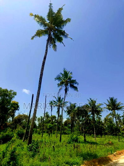 100*100 Plots With Ready Title Deed for Sale in Kilifi - Image 2