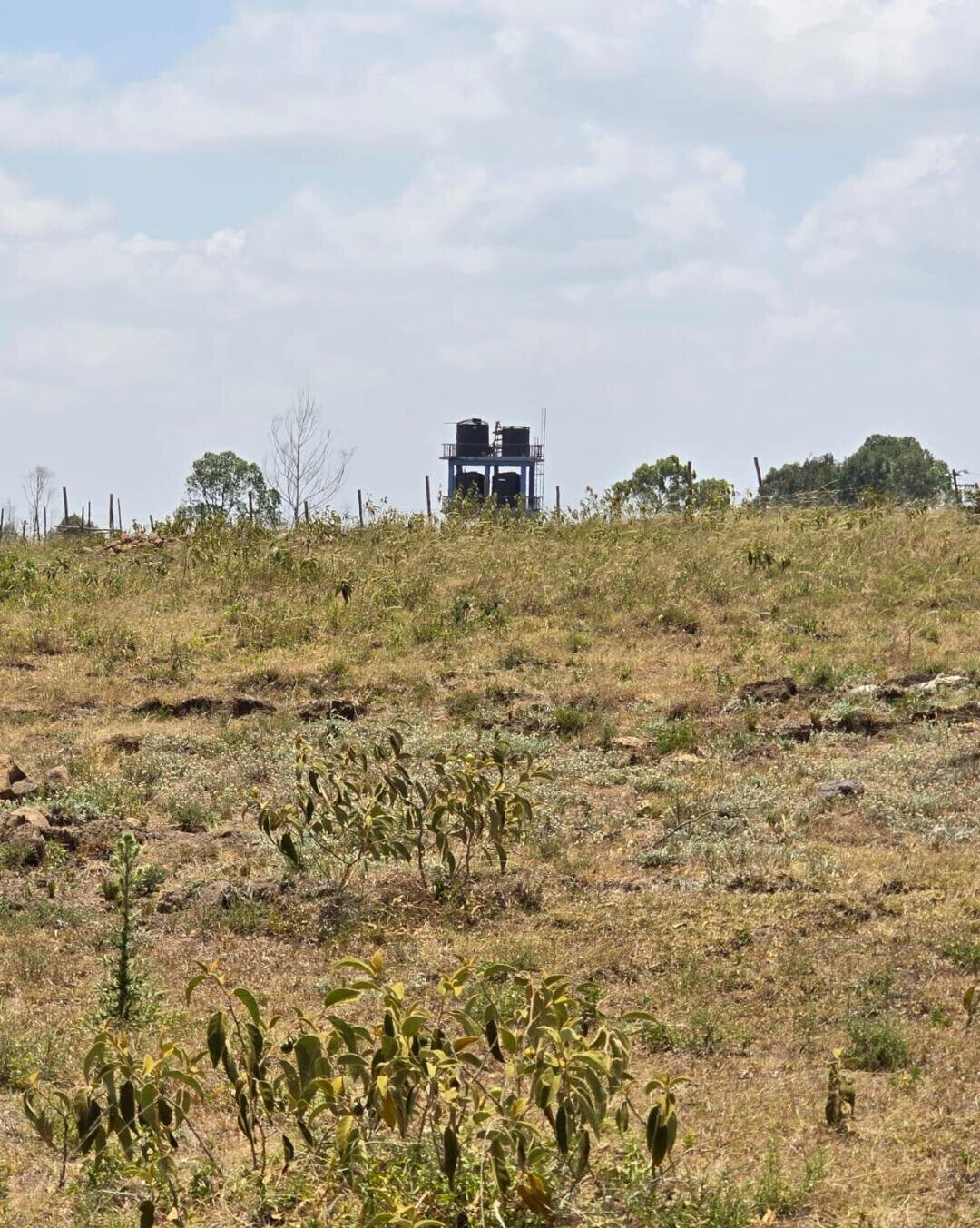 1/4 Acre Plot Near Olosios Girls Highschool