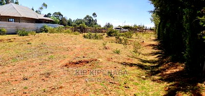 Big 1/4 Plot for Sale in Kipkenyo - Image 3