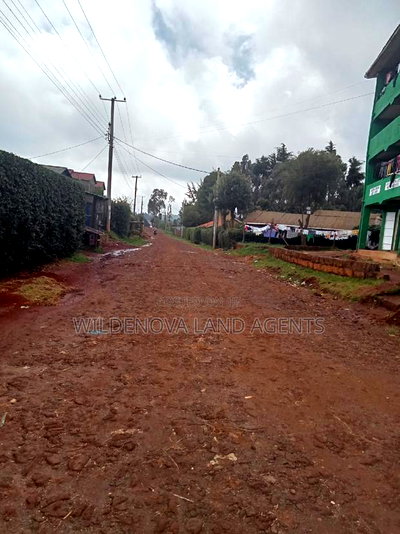 Land on Sale at Limuru Kamirithu - Image 1