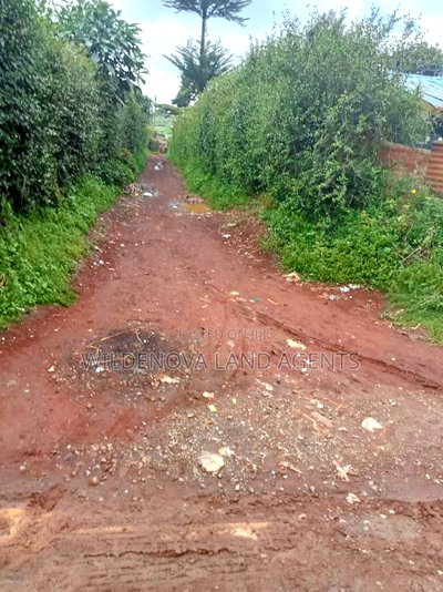Land on Sale at Limuru Kamirithu - Image 3