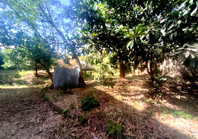 Half Acre Westlands Gem for KSh 200M