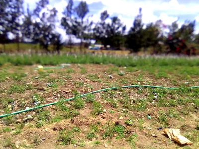 Eastern Bypass - Image 4