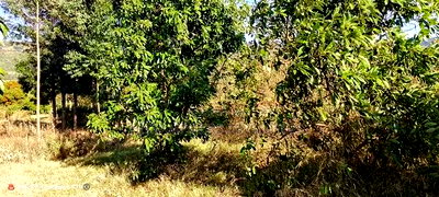 1/4 Acre in Subukia at 2M With Title Deed - Image 4