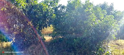 1/4 Acre in Subukia at 2M With Title Deed - Image 5