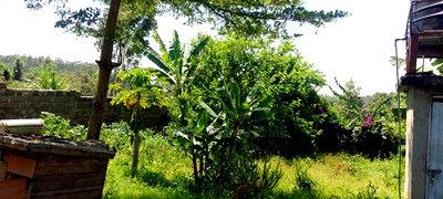 3bdrm Bungalow in Ololua, Ngong for sale - Image 16