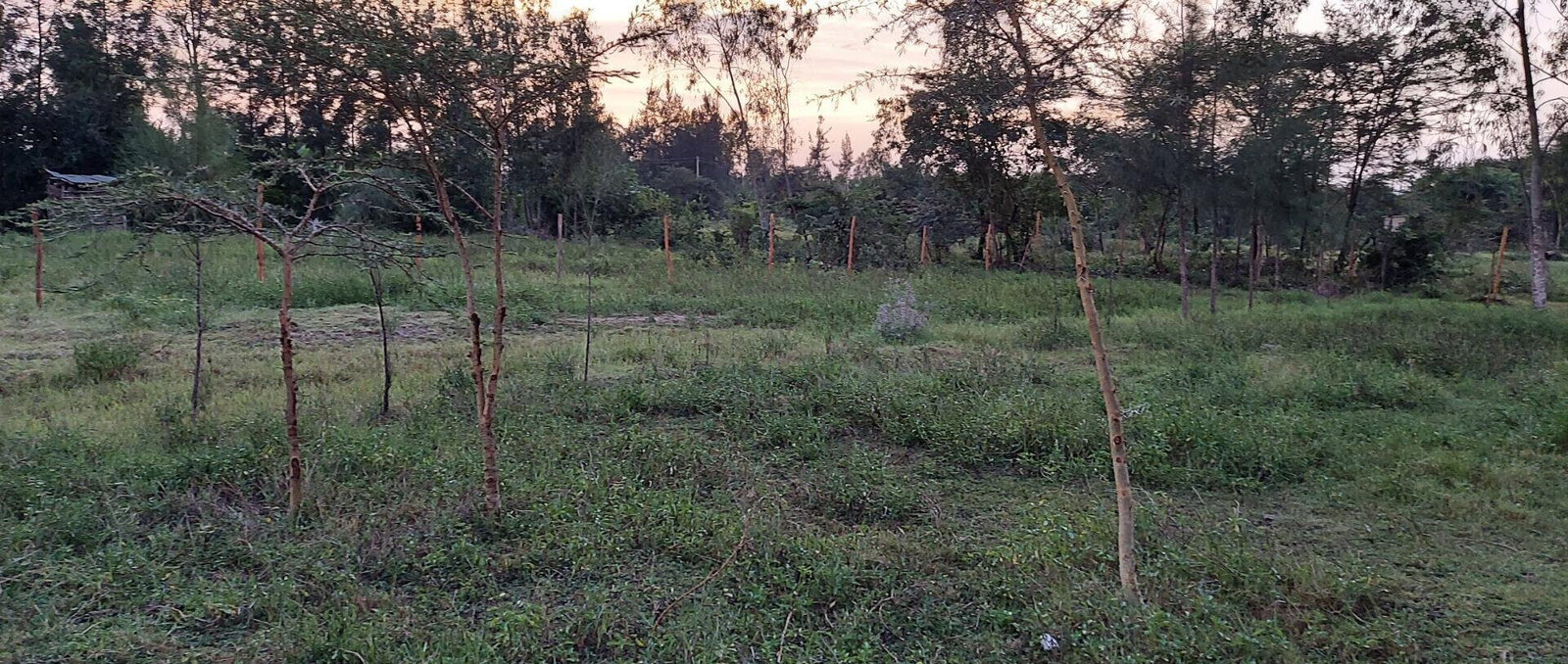 Garden Plot with Parking, KSh 2.9M