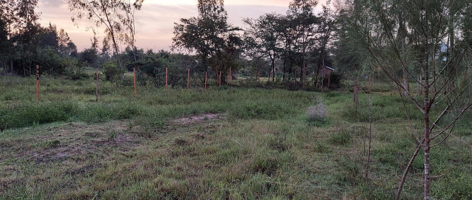 Garden Plot with Parking, KSh 2.9M