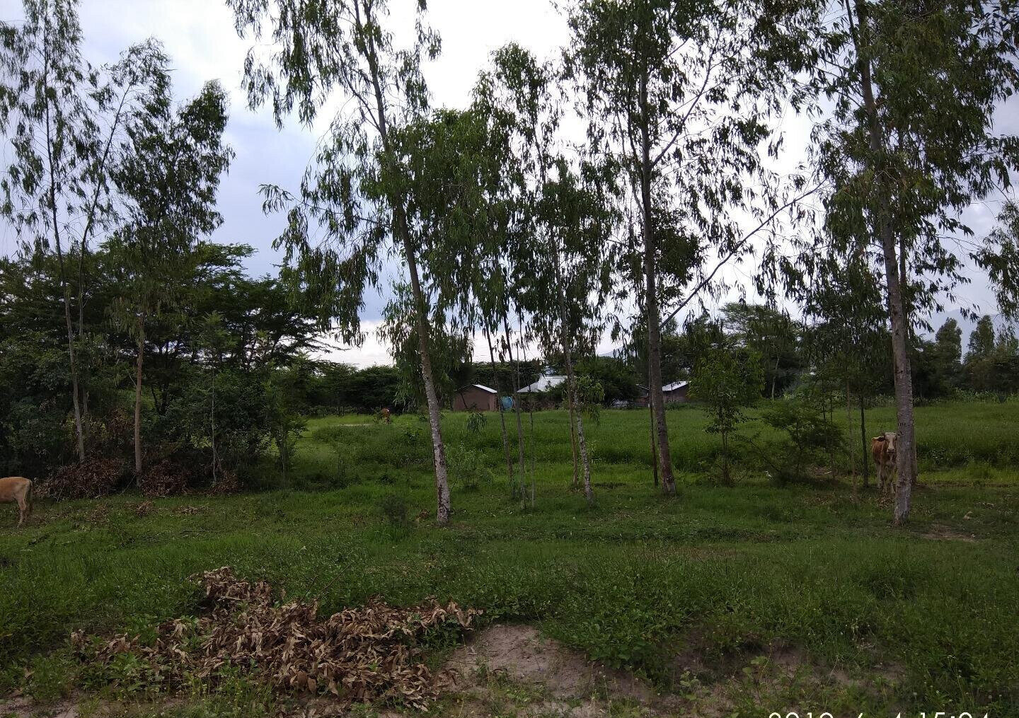 Garden Plot with Parking, KSh 2.9M