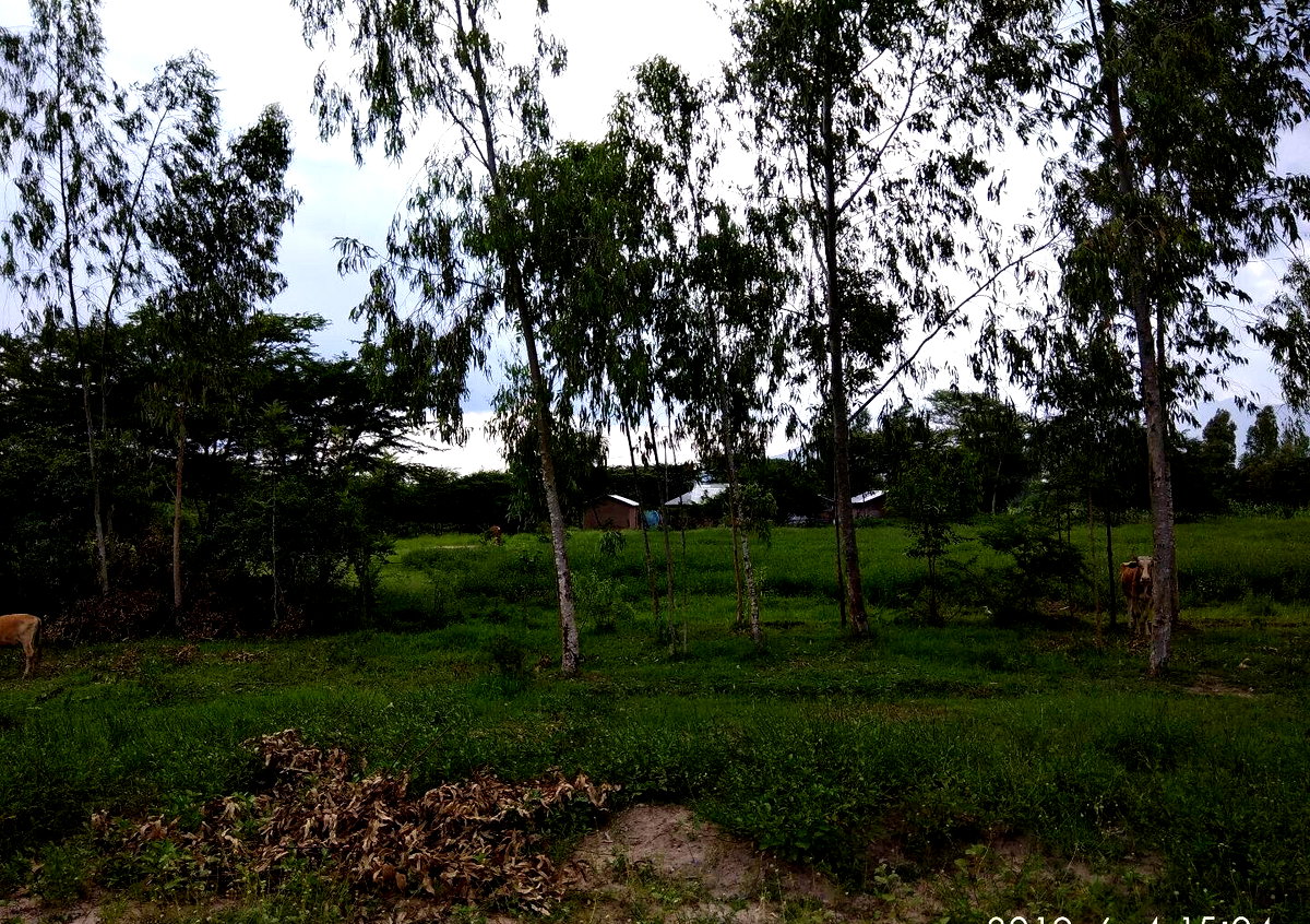 Garden Plot with Parking, KSh 2.9M