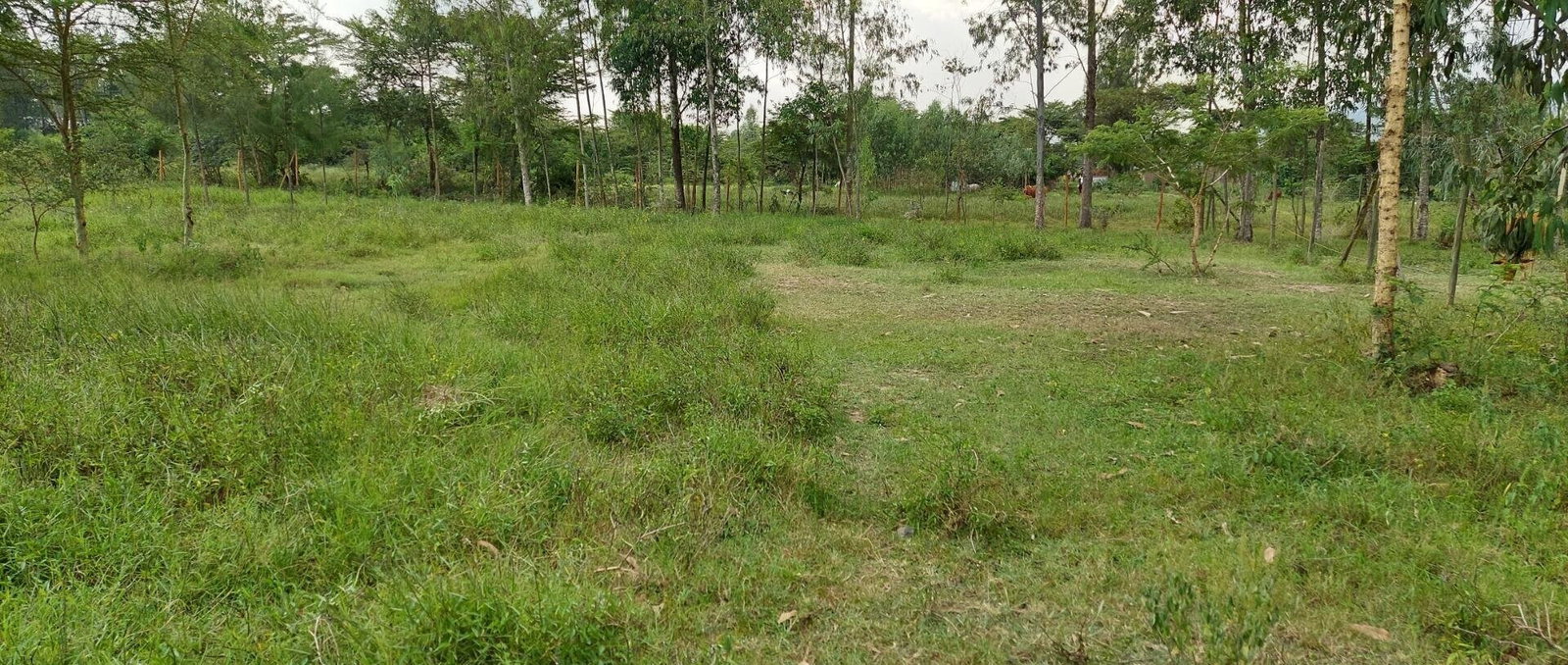Garden Plot with Parking, KSh 2.9M