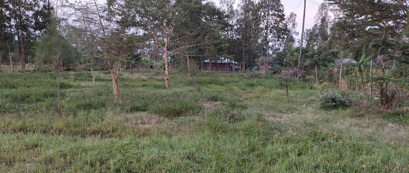 Garden Plot with Parking, KSh 2.9M