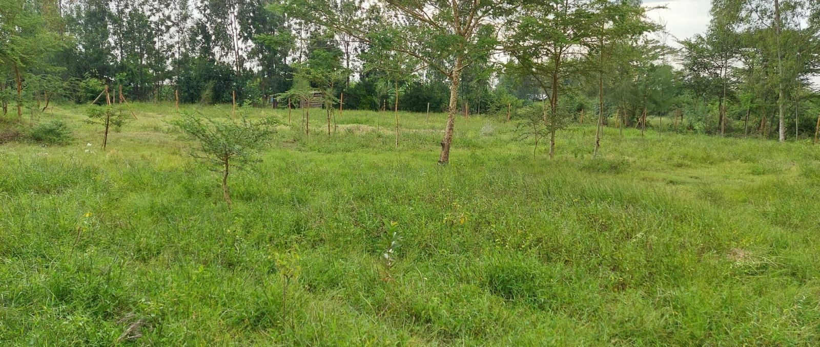 Garden Plot with Parking, KSh 2.9M
