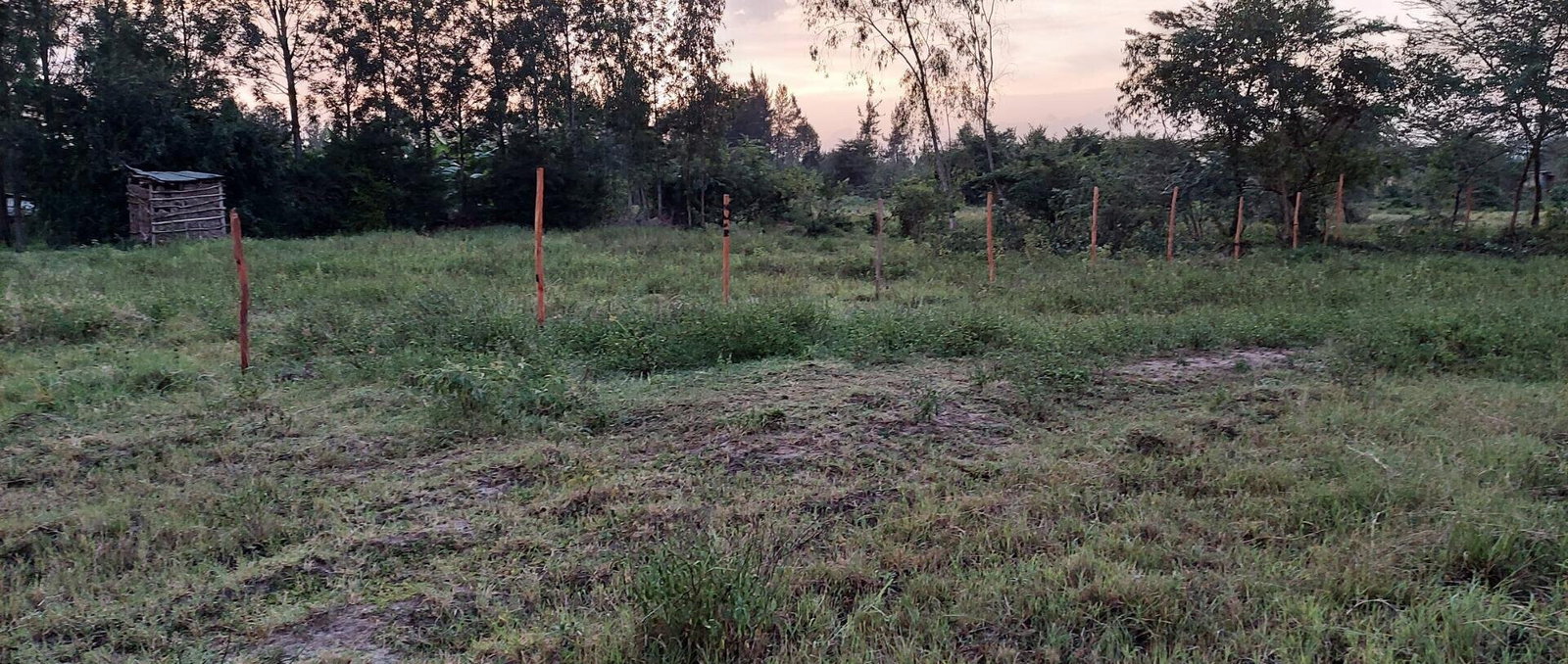 Garden Plot with Parking, KSh 2.9M