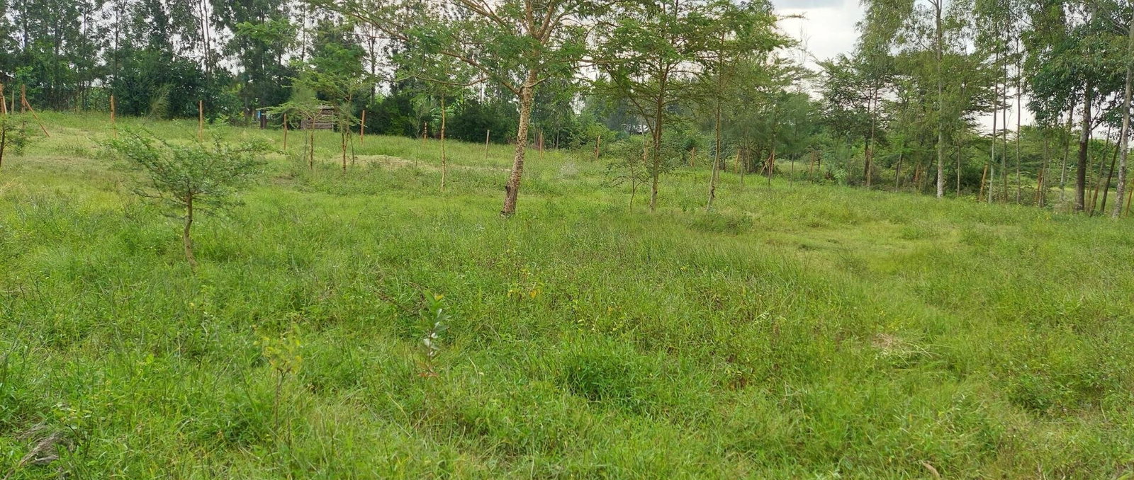 Garden Plot with Parking, KSh 2.9M