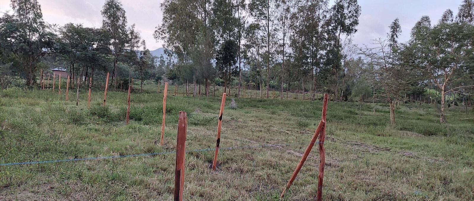 Garden Plot with Parking, KSh 2.9M
