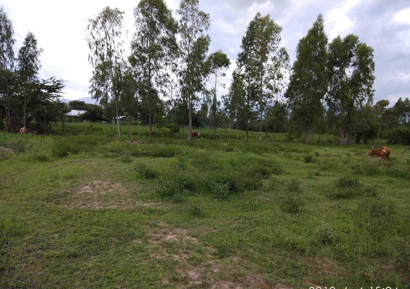 Garden Plot with Parking, KSh 2.9M