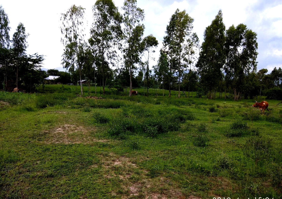 Garden Plot with Parking, KSh 2.9M
