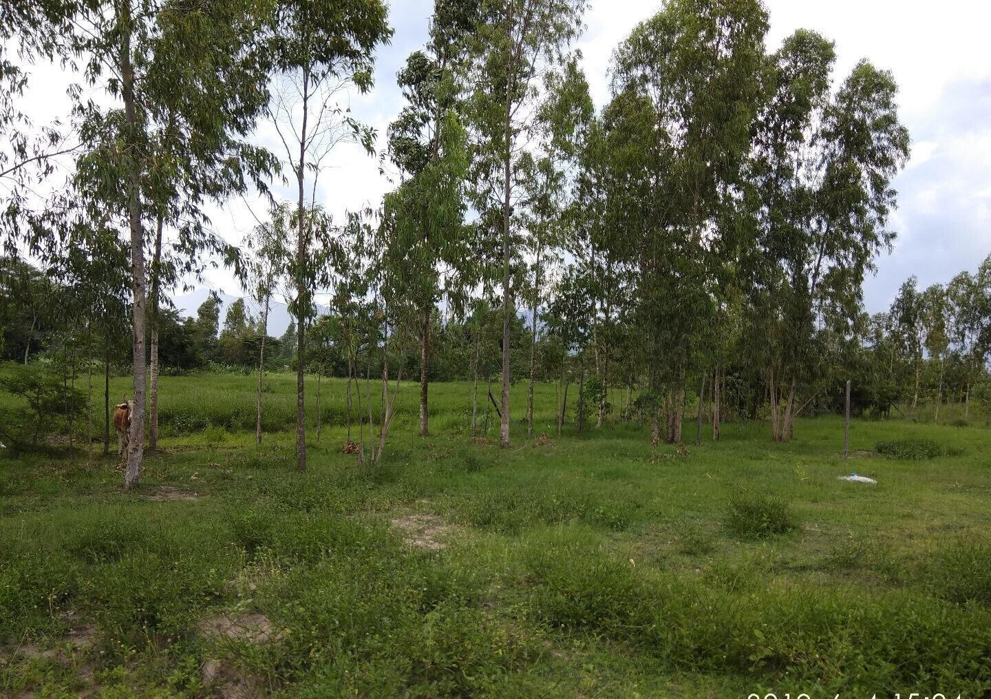 Garden Plot with Parking, KSh 2.9M