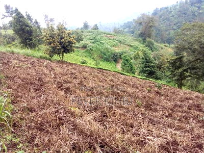 Land for Sale in Gatundu South 8ac With Tea Bushes - Image 2