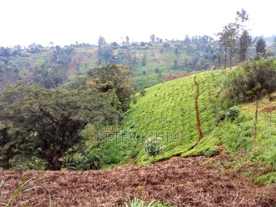 Land for Sale in Gatundu South 8ac With Tea Bushes - Image 1