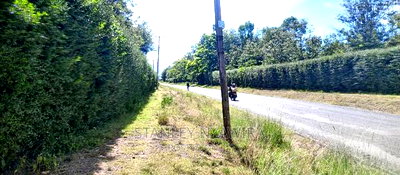 Beautiful 3 Acreas Nanyuki Behind Airstrip - Image 8