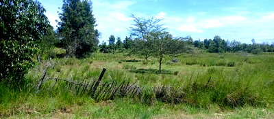 Beautiful 3 Acreas Nanyuki Behind Airstrip - Image 7