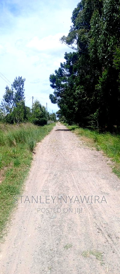 Beautiful 3 Acreas Nanyuki Behind Airstrip - Image 4