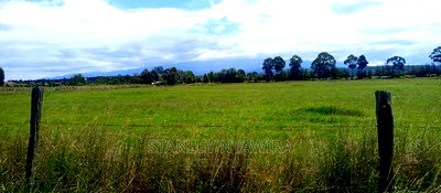 Beautiful 3 Acreas Nanyuki Behind Airstrip - Image 6