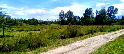 Beautiful 3 Acreas Nanyuki Behind Airstrip - Image 1