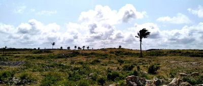 1 Acre Watamu Gem for KSh 27.5M
