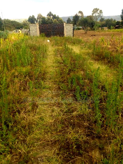 50*100 Plot on Sale at Karati Naivasha - Image 3