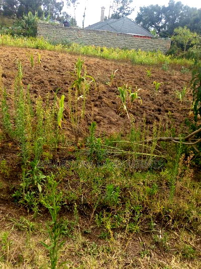 50*100 Plot on Sale at Karati Naivasha - Image 2