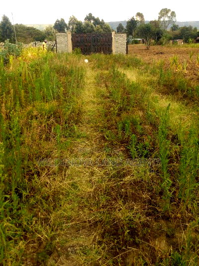 50*100 Plot on Sale at Karati Naivasha - Image 1