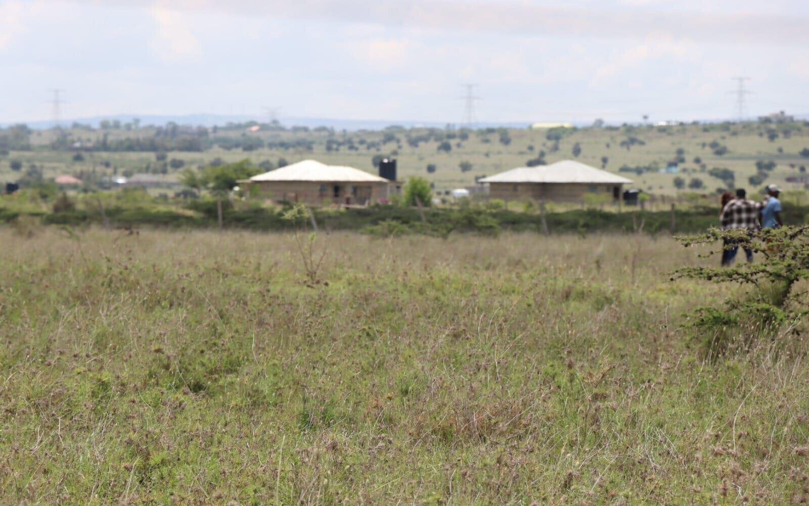 Quarter Acre Plot Under 1.5M