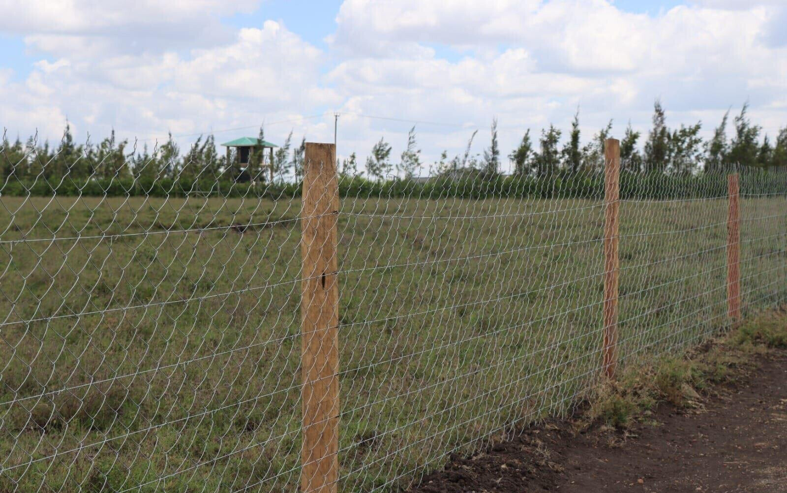 Quarter Acre Plot Under 1.5M