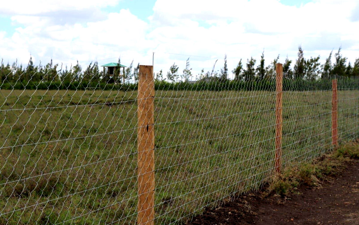Quarter Acre Plot Under 1.5M