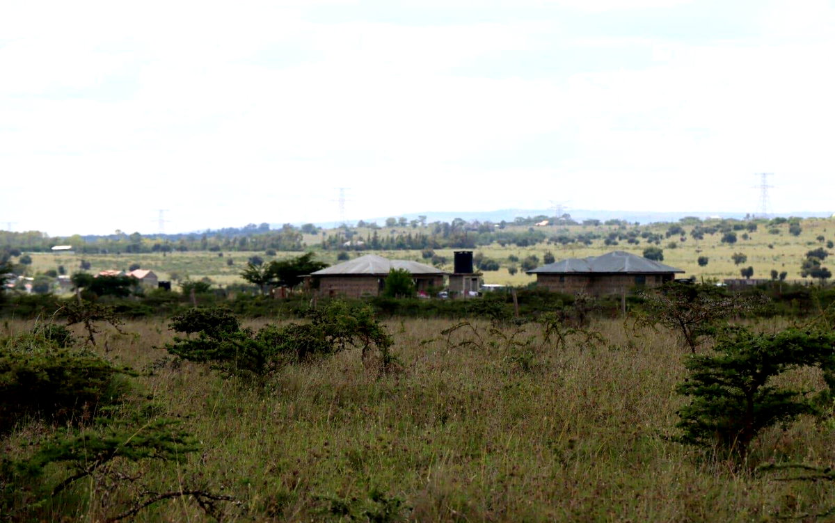 Quarter Acre Plot Under 1.5M