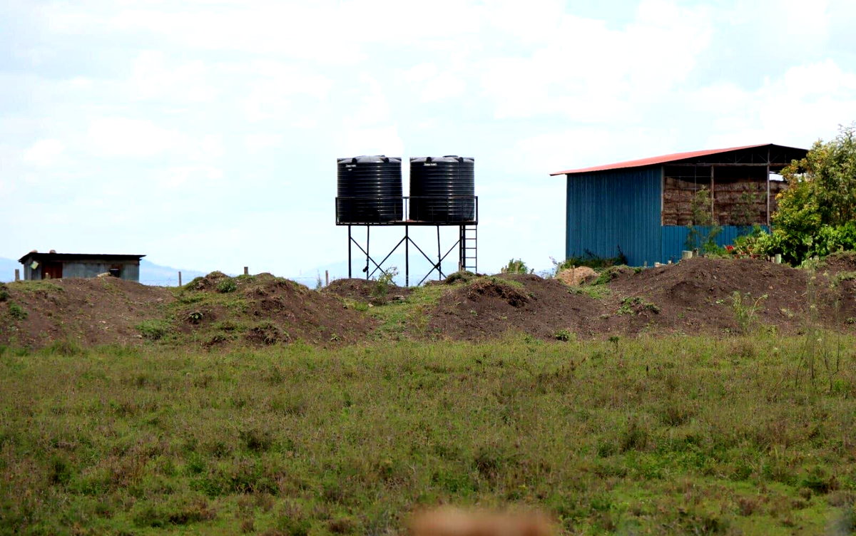 Quarter Acre Plot Under 1.5M