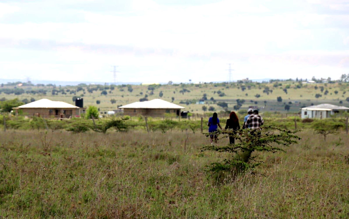 Quarter Acre Plot Under 1.5M