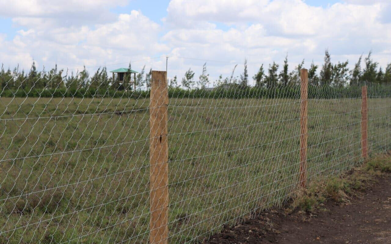 Quarter Acre Plot Under 1.5M