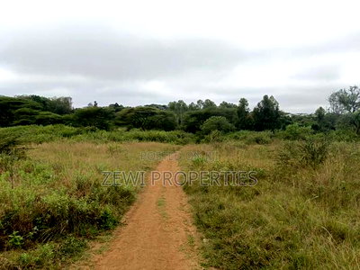 8.5 Acres Karen - Image 5