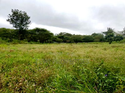 8.5 Acres Karen - Image 9