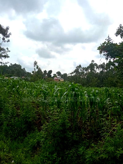 Prime Land for Sale in Shirere-Kakamega - Image 2