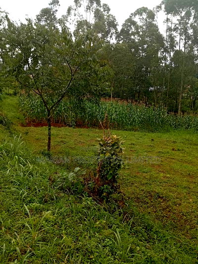 Prime Land for Sale in Shirere-Kakamega - Image 11