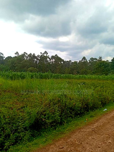 Prime Land for Sale in Shirere-Kakamega - Image 7