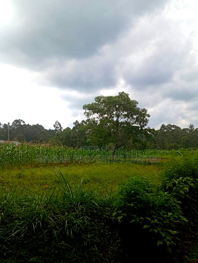Prime Land for Sale in Shirere-Kakamega - Image 5